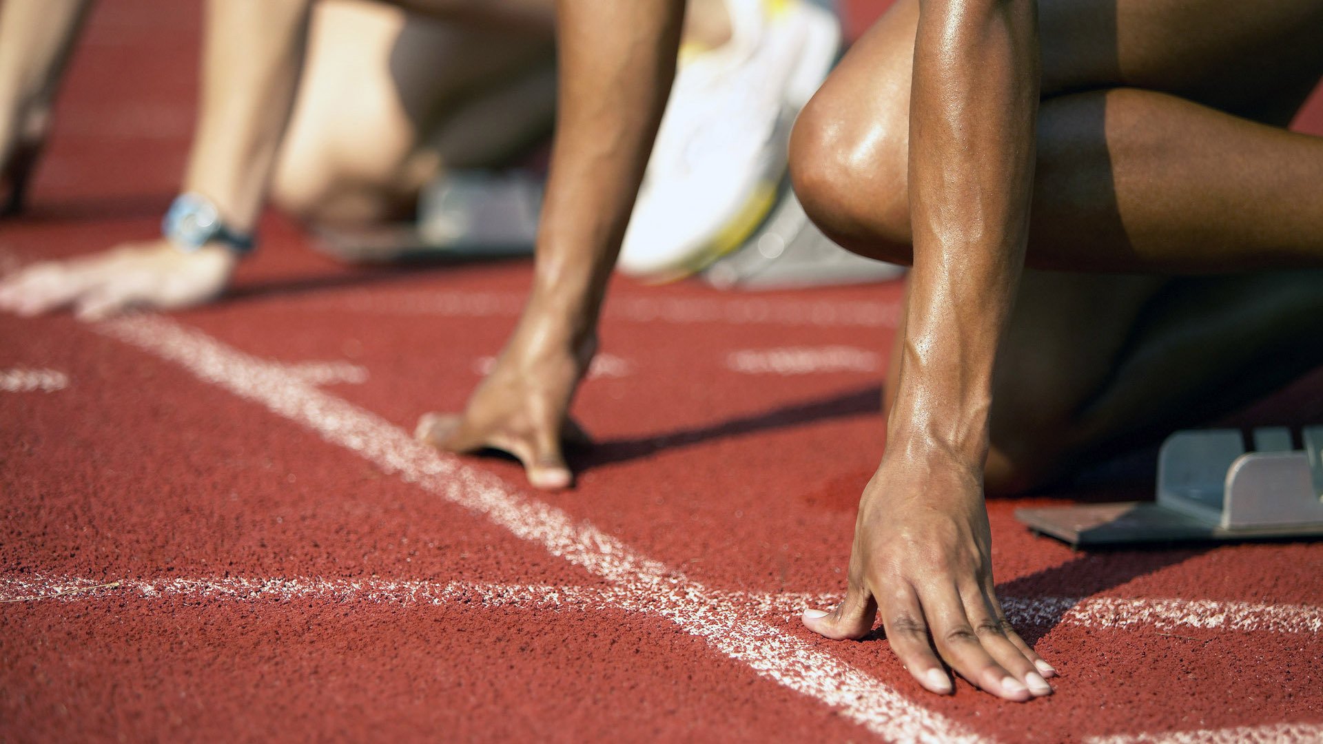 体育新闻中心开展体育多语种内容创作培训计划，体育培训文件