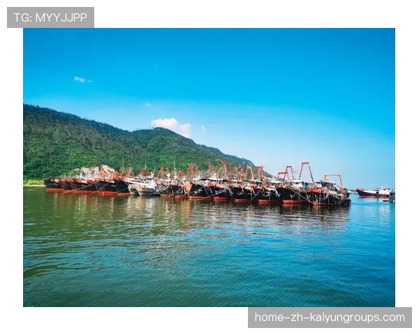 台风后惠州海滩生态复苏，海鲜大丰收，惠州台风预警